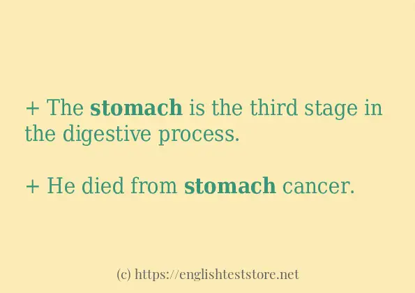 stomach example in sentences