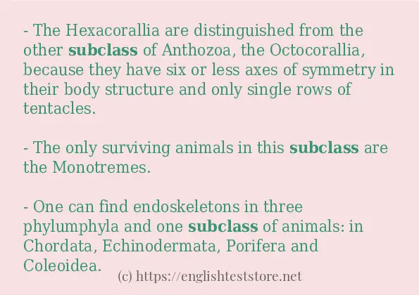 subclass how to use?