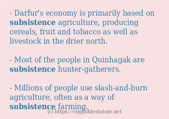 subsistence how to use?