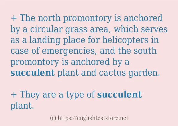 Succulent Some Example Sentences Englishteststore Blog 