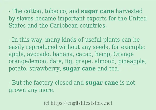sugar cane how to use?