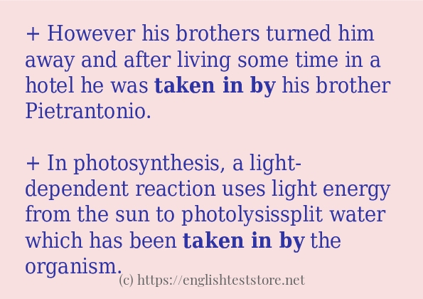 taken in by use in-sentences
