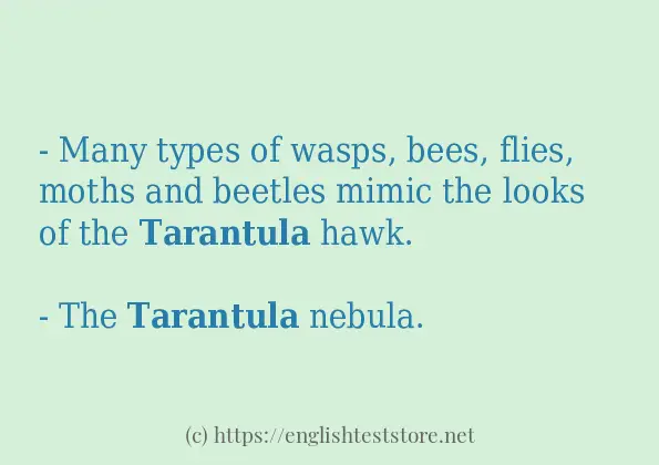 tarantula some example sentences