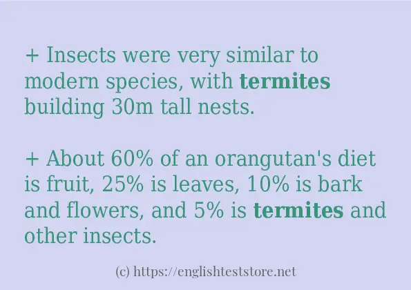 termites use in sentences termites use in sentences