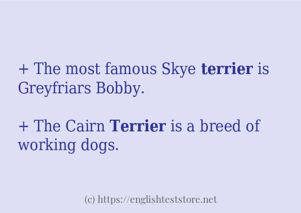 terrier in-sentences terrier in-sentences