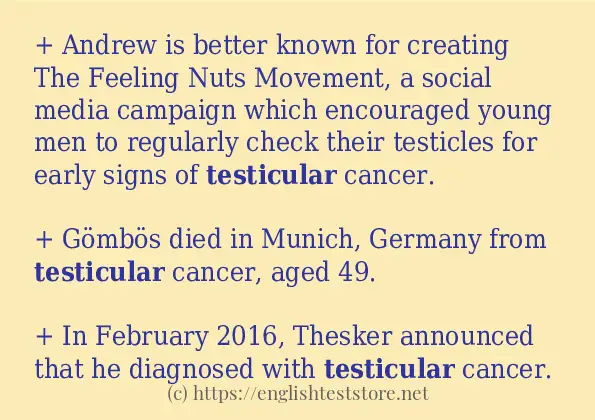 testicular - some sentence examples