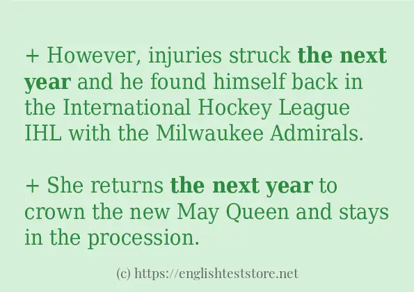 the next year - some sentence examples