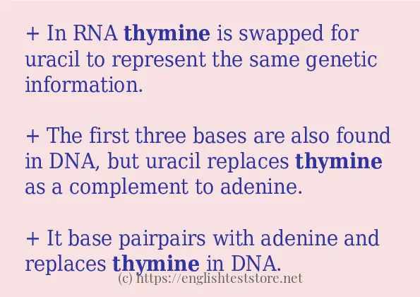 thymine how to use?