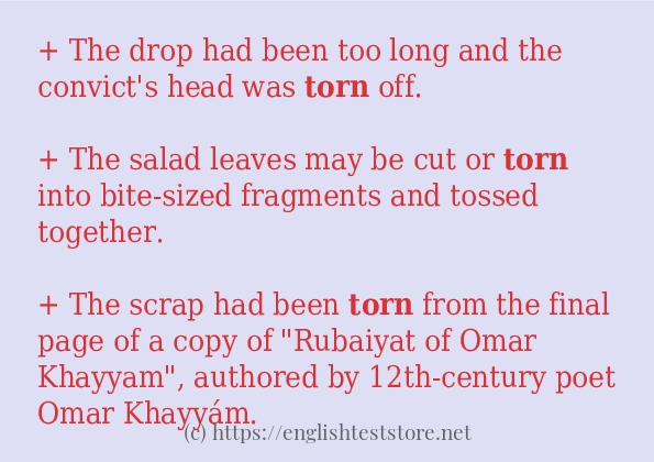 torn-some-example-sentences-englishteststore-blog