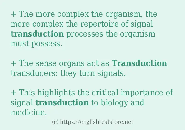 transduction how to use?