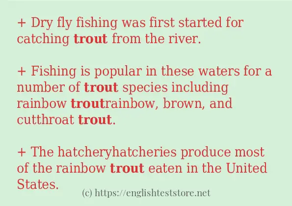 trout how to use in sentences