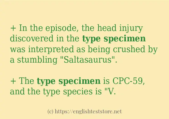 type specimen how to use?