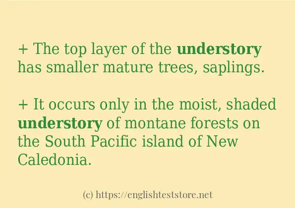 understory - sentence examples