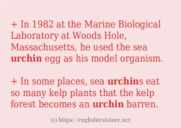 urchin in-sentences