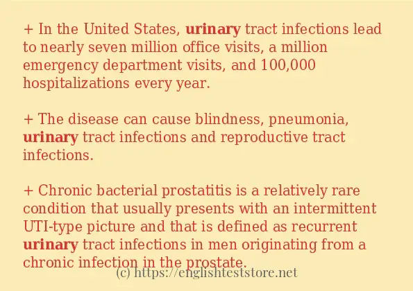 urinary in sentences?