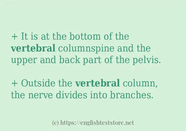 vertebral in-sentences