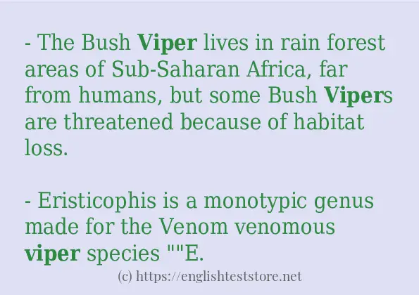 viper-in-sentences-englishteststore-blog