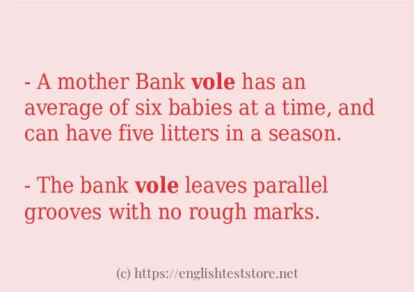 vole how to use in sentences