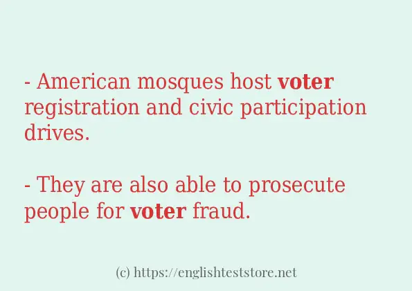voter - example sentences