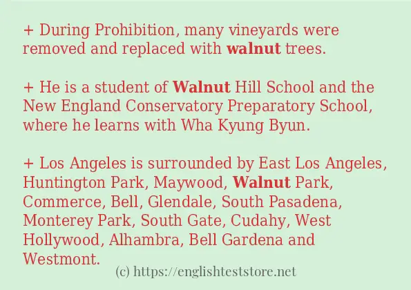 walnut - some sentence examples
