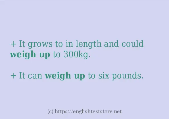 weigh up - some sentence examples