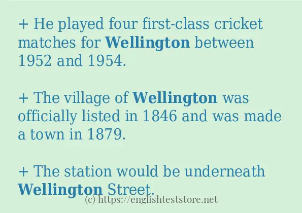 wellington some ways to use