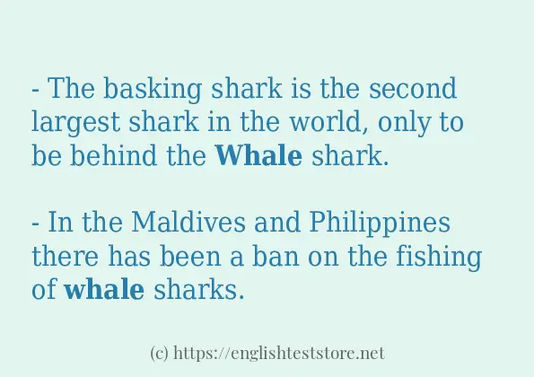 whale - sentence examples