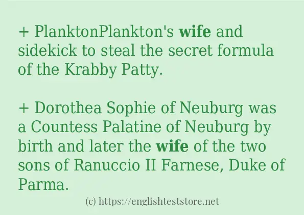 wife in-sentences wife in-sentences