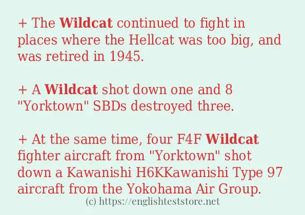 wildcat use in sentences