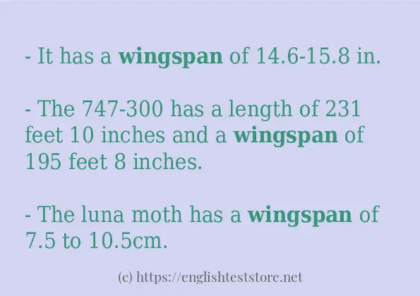 wingspan - sentence examples wingspan - sentence examples