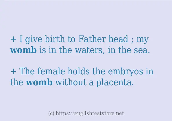 womb how to use?