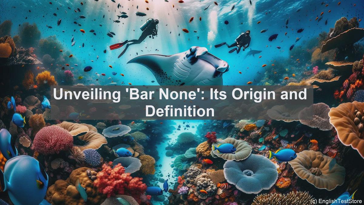 bar-none-idiom-meaning-and-usage-in-sentences