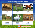 Picture Vocabulary Flash Cards - Animals