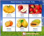 Picture Vocabulary Flash Cards - Fruits