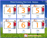 Picture Vocabulary Flash Cards - Numbers