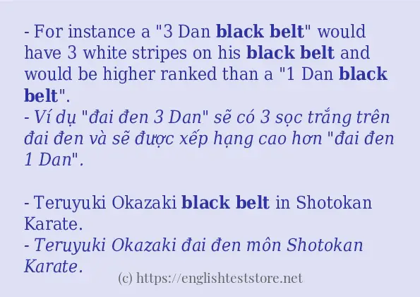 Black belt câu ví dụ và cách dùng