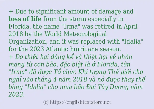 Các cách dùng từ loss of life