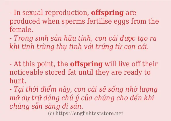 Các cách dùng từ offspring