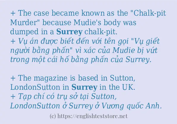Các câu ví dụ của từ surrey