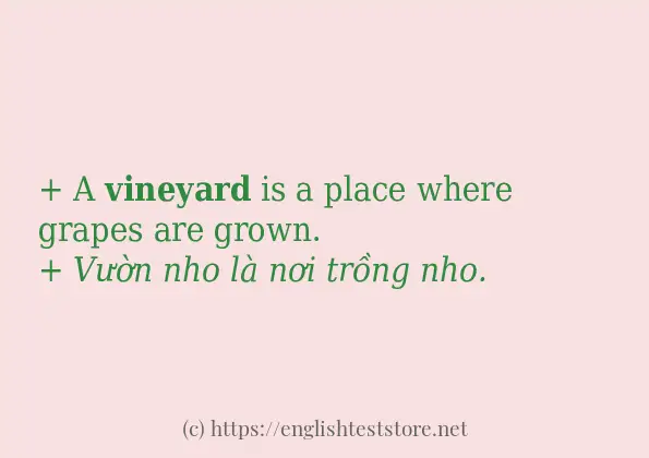 Các câu ví dụ của từ vineyard