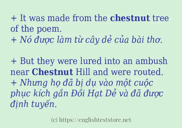 Các câu ví dụ và cách dùng từ chestnut