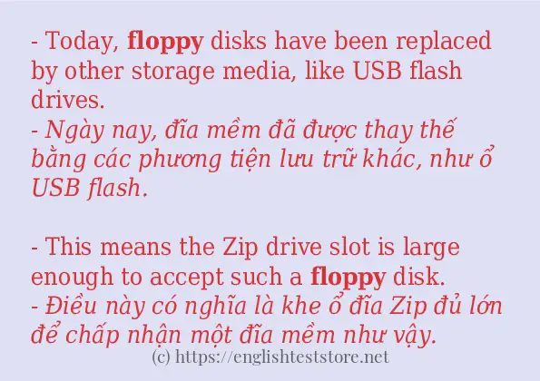 Các câu ví dụ và cách dùng từ floppy