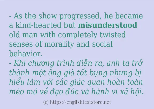 Các câu ví dụ và cách dùng từ misunderstood