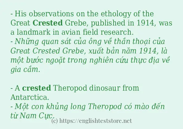 Các câu ví dụ và cách sử dụng từ crested