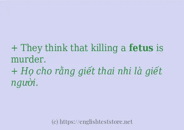 Các câu ví dụ và cách sử dụng từ fetus