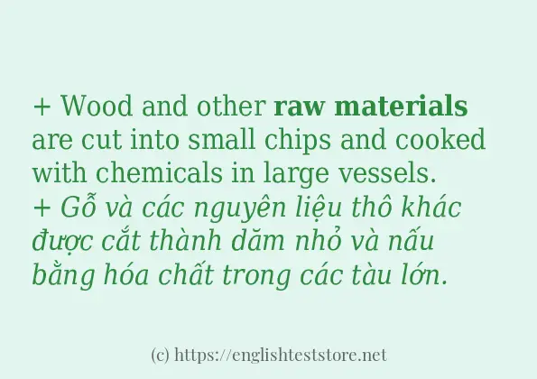 Các câu ví dụ và cách sử dụng từ raw materials