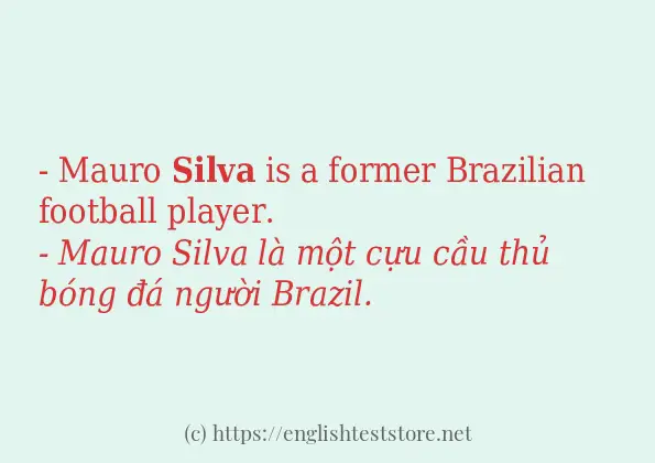 Các câu ví dụ và cách sử dụng từ silva