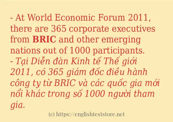 Cách dùng từ bric