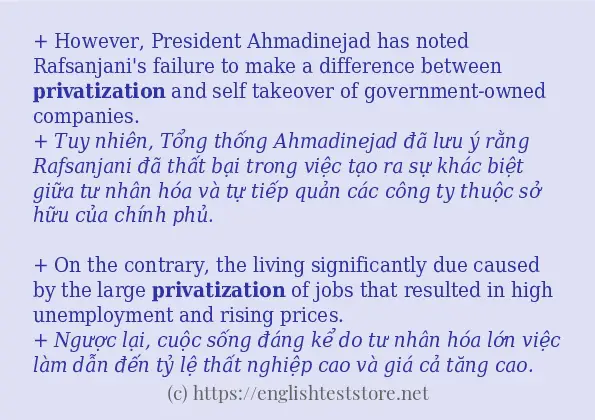 Cách dùng từ privatization