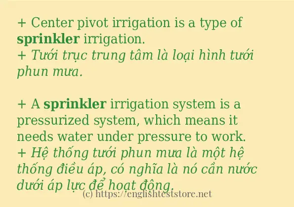 Cách dùng từ sprinkler